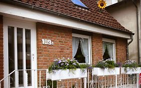 Das Sonnenblumenhaus